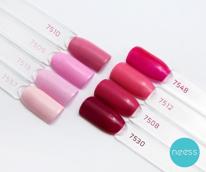 Neess paleta kolorów