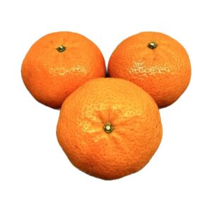 Mandarine – odkryj egzotyczny akcent w swoim manicure, który doda świeżości i wyrazistości