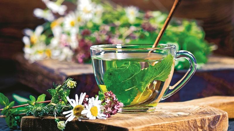 Regeneracja i elastyczność skóry